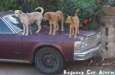 redneckcaralarm.jpg
